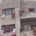 Ce ne învață despre ideologie și psihanaliză ursuleții-horror spânzurați în Târgul de Crăciun